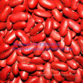 New Crop Red Kidney Bean Top Quality